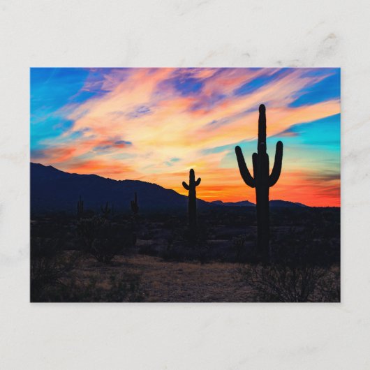 Carte Postale Cactus du désert au coucher du soleil Crépuscule (Devant)