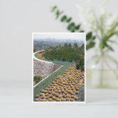 Carte Postale cactus du musée getty (Debout devant)