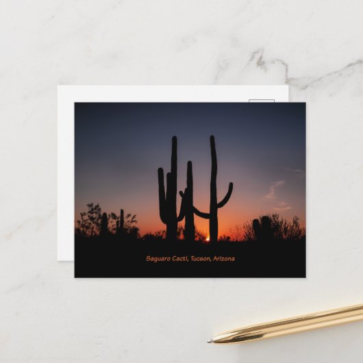 Carte Postale Cactus du Saguaro au coucher du soleil (Devant/Arrière en situation)