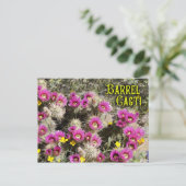 Carte Postale Cactus en fleur, désert de Sonoran, Arizona (Debout devant)