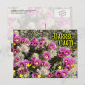 Carte Postale Cactus en fleur, désert de Sonoran, Arizona (Devant / Derrière)