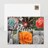 Carte Postale Cactus et photographie rose collage fleur citation (Devant / Derrière)