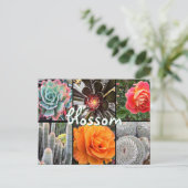 Carte Postale Cactus et photographie rose collage fleur citation (Debout devant)