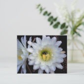 Carte postale Cactus Flower 4355 (Debout devant)