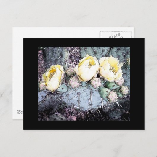 Carte Postale Cactus Flower Digital Ink (Devant / Derrière)