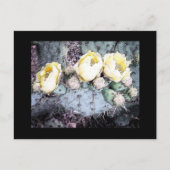 Carte Postale Cactus Flower Digital Ink (Devant)