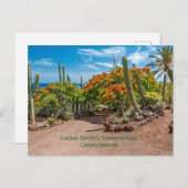 Carte Postale Cactus Garen, Fuerteventura, Îles Canaries, (Devant / Derrière)