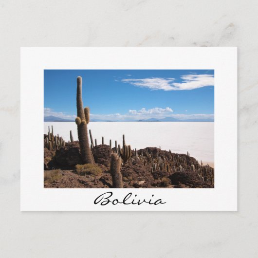 Carte Postale Cactus géant au Salar de Uyuni, Bolivie (Devant)