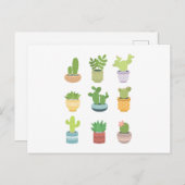 Carte Postale Cactus mignons (Devant / Derrière)