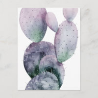 Cactus pourpre