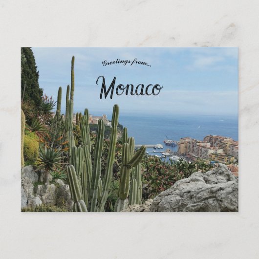Carte Postale Cactus près du port à Monaco (Devant)