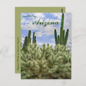 Carte Postale Cactus saguaro à Tucson Arizona (Devant / Derrière)