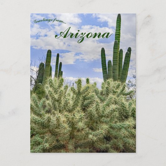Carte Postale Cactus saguaro à Tucson Arizona (Devant)