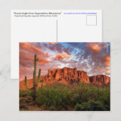 Carte Postale Cactus Saguaro Montagne du Crépuscule Superstition (Devant / Derrière)