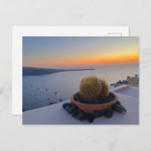 Carte Postale Cactus Santorin Grèce Sunset Photographie (Devant / Derrière)