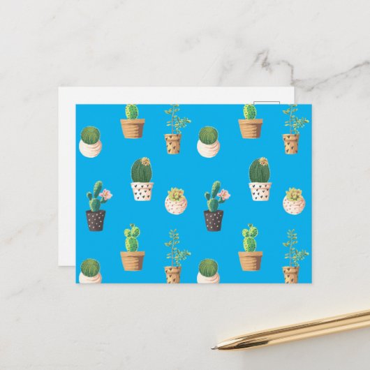 Carte Postale Cactus Succulents de Dessert Vert dans les pots (Devant/Arrière en situation)