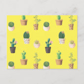 Carte Postale Cactus Succulents de Dessert Vert dans les pots (Devant)