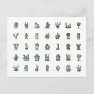 Carte Postale Cactus Succulents Plante main tiré Botanique