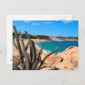 Carte Postale Cactus Sur Une Colline Rocheuse Au-Dessus De La Pl (Devant / Derrière)