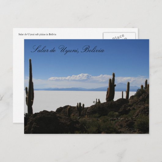 Carte Postale cactus uyuni (Devant / Derrière)