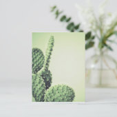 Carte Postale Cactus vert (Debout devant)