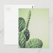Carte Postale Cactus vert (Devant / Derrière)