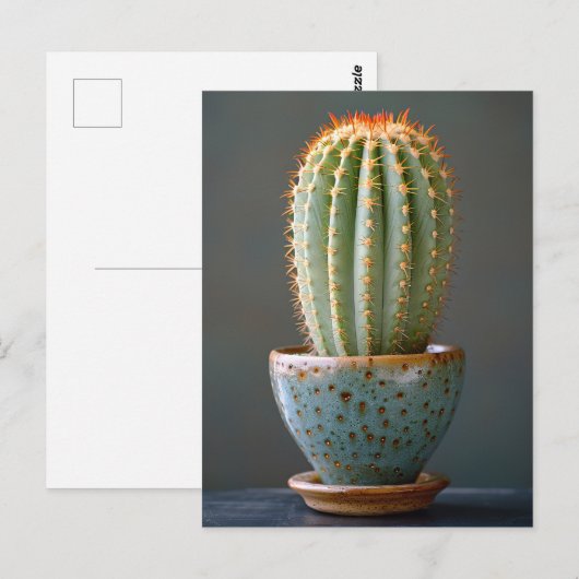 Carte Postale Cactus vert dans un pot en céramique sarcelle Phot (Devant / Derrière)