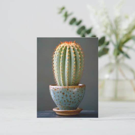 Carte Postale Cactus vert dans un pot en céramique Turquoise pho (Debout devant)