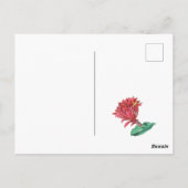 Carte Postale Cactus vert rouge en fleurs (Dos)