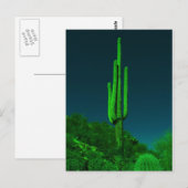 Carte Postale Cactus vision nocturne (Devant / Derrière)