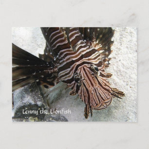Carte Postale Cactus Voyager - Lenny le LionFish
