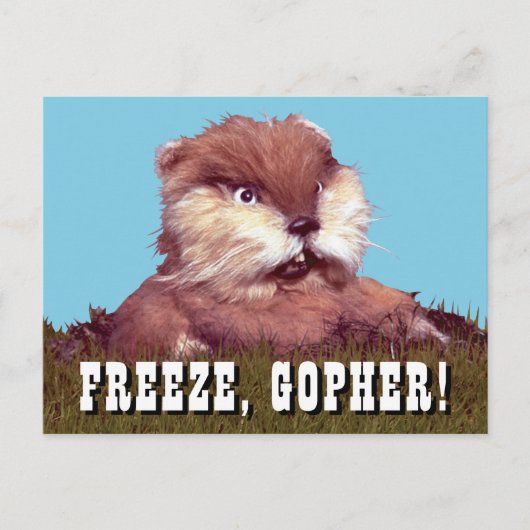 Carte Postale Caddyshack | Freeze, Gopher ! (Devant)