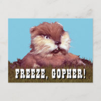 Caddyshack | Freeze, Gopher !