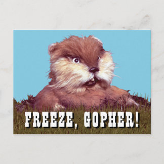 Carte Postale Caddyshack | Freeze, Gopher !