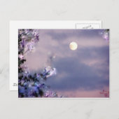 Carte Postale Cadeau aérien (Devant / Derrière)