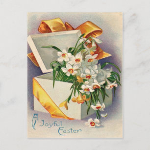 Carte Postale Cadeau cadeau Daffodil Jonquil