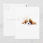 Carte postale cadeau Cavalier King Charles Spaniel (Devant / Derrière)