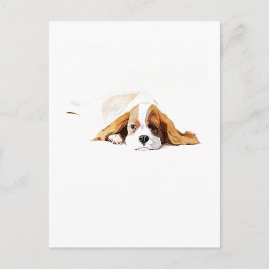 Carte postale cadeau Cavalier King Charles Spaniel (Devant)