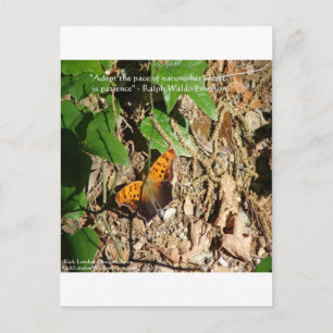 Carte Postale Cadeau de citation de sagesse "Rythme de la nature