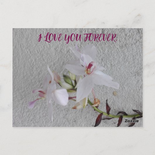CARTE POSTALE CADEAU DE FLEURS JOURNALIÈRE FILLE (Dos)