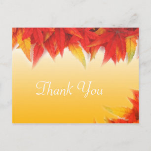 Carte Postale Cadeau de mariage d'automne élégant et joli remerc