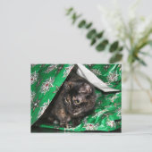 Carte Postale Cadeau enveloppé tortue (Debout devant)