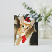 CARTE POSTALE CADEAU POUR VOUS (Debout devant)