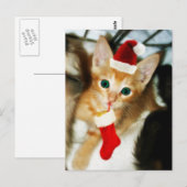 CARTE POSTALE CADEAU POUR VOUS (Devant / Derrière)