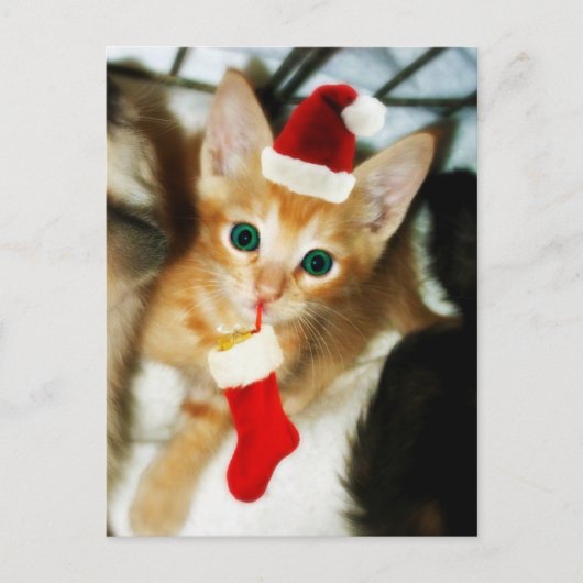 CARTE POSTALE CADEAU POUR VOUS (Devant)