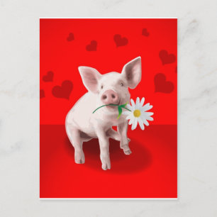 Carte Postale Cadeaux