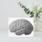 Carte Postale Cadeaux de cerveau (Debout devant)