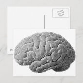 Carte Postale Cadeaux de cerveau (Devant / Derrière)