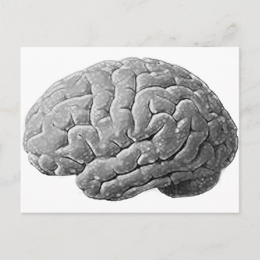 Carte Postale Cadeaux de cerveau (Devant)