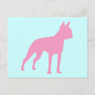 Carte Postale Cadeaux de chien de chien de Terrier de Boston ros